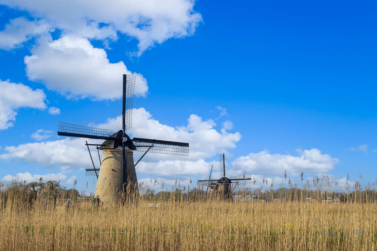 Il parco dei Mulini di Kinderdijk