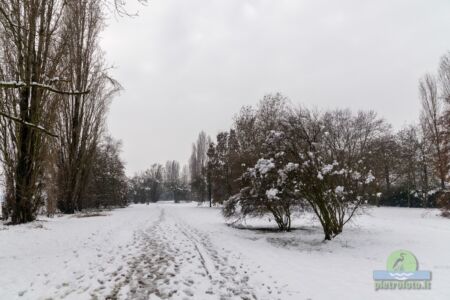 Neve a Tolcinasco