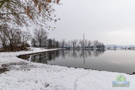 Neve a Tolcinasco