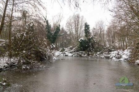 Neve a Tolcinasco