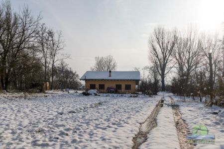 Neve a Tolcinasco